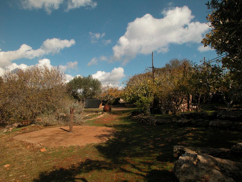 Back To Nature Camping & Huts Hotel Mikhmannim Cameră foto